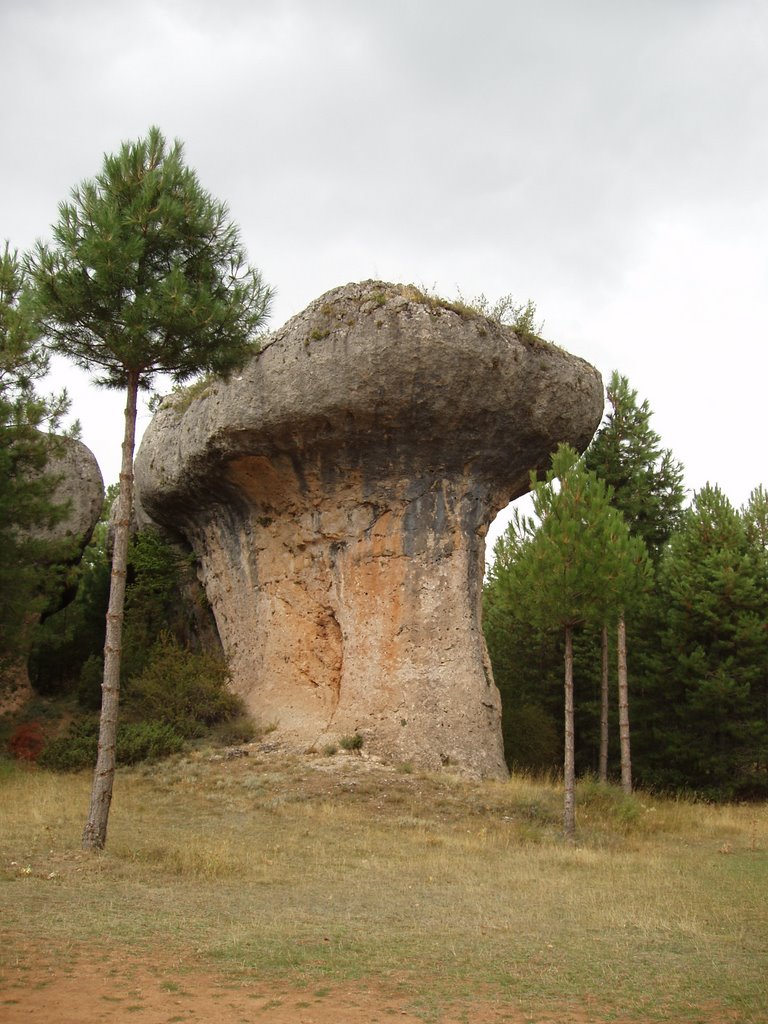 Gigante de Piedra by AS Muñoz