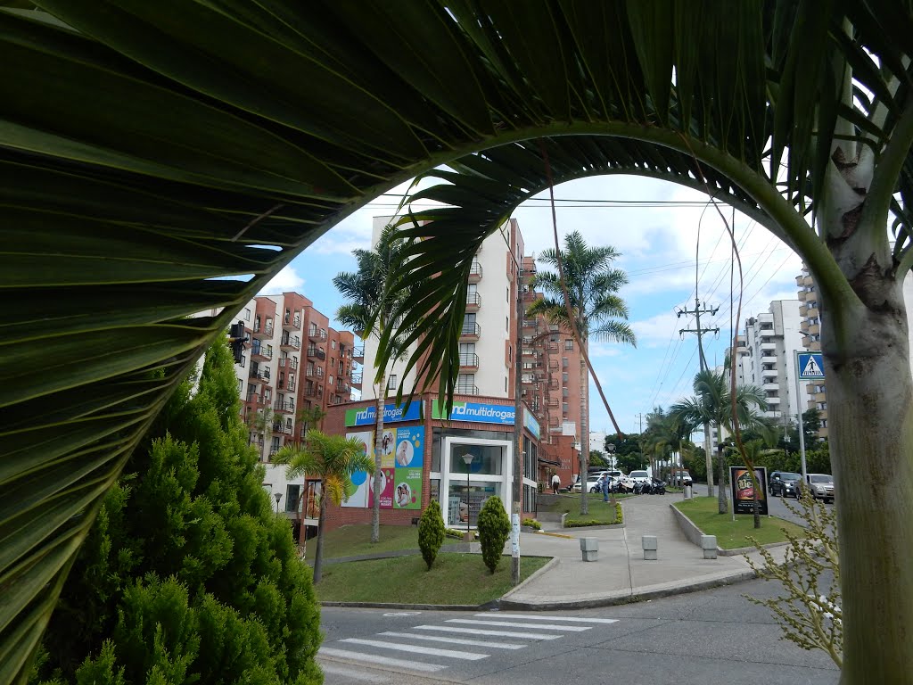 Pinares Alto, Pereira, Risaralda, Colombia by josé orlando gómez d…