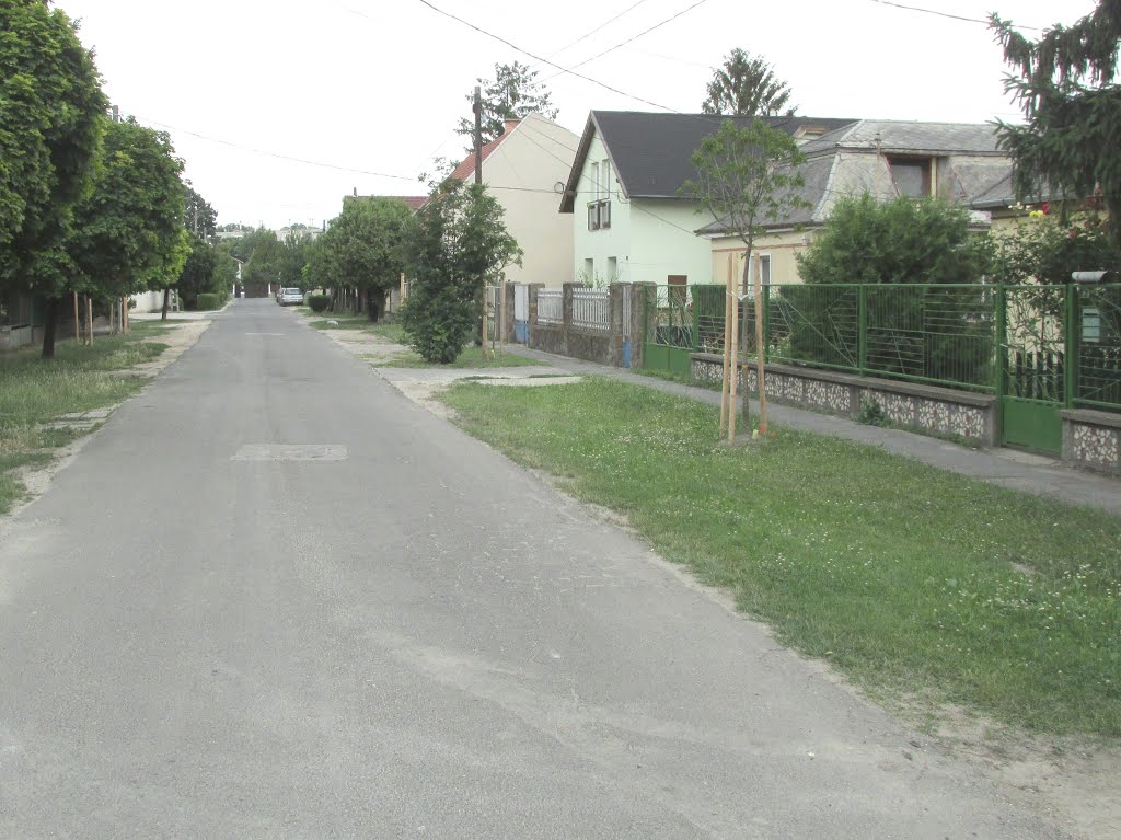 201506191348 Nagytétény, Pintyőke utca by Harmadik