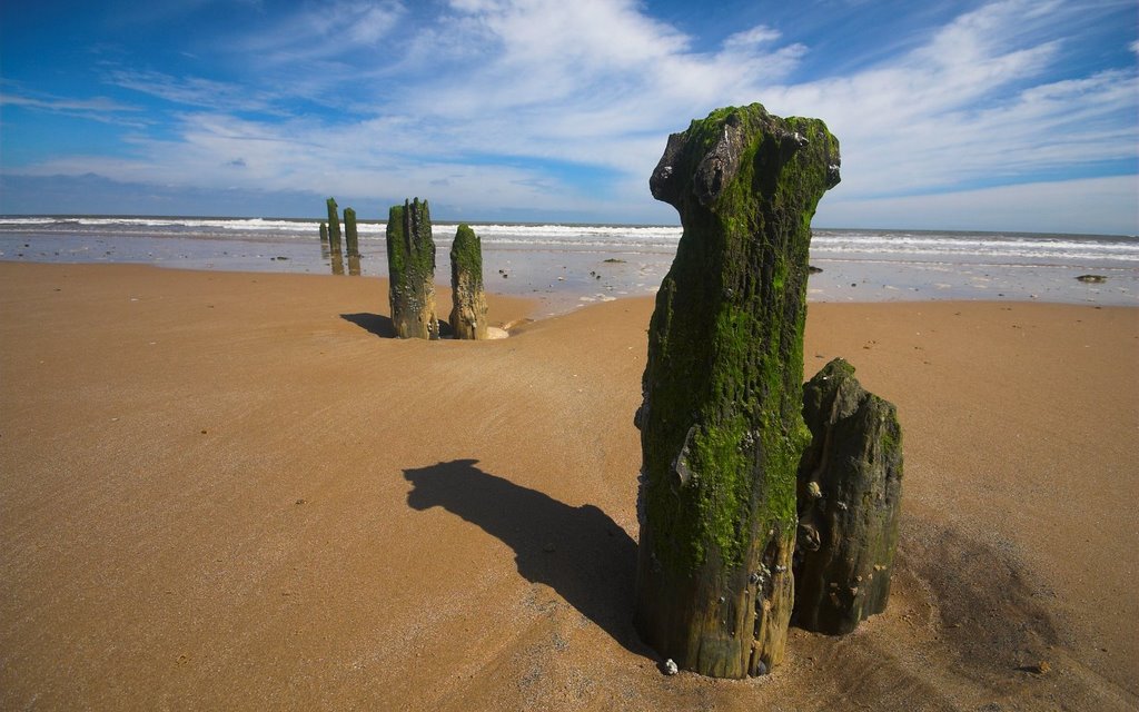 Jetty remnants on Titchwell beach ҉ Andy Mac by Andrew Macdonald