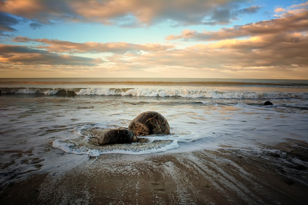 Sunset on the Rocks by Linda Cutche