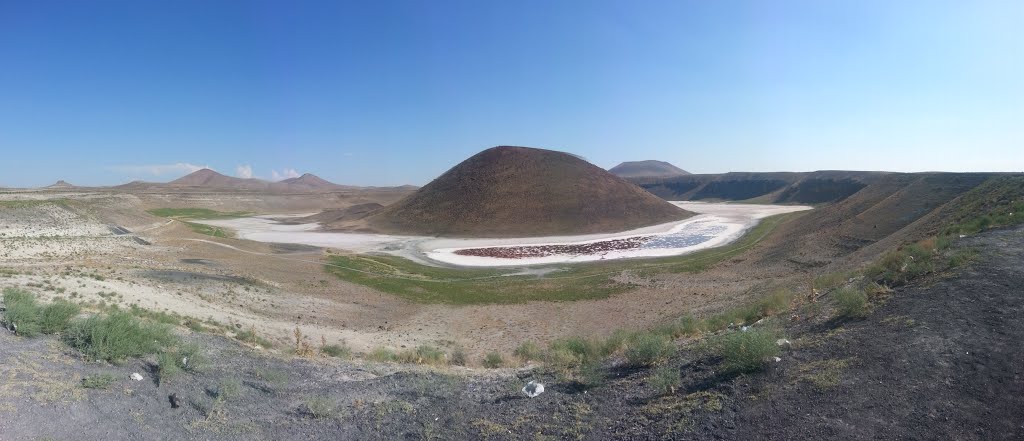 Karapınar/Konya, Turkey by M Kemal TANIŞ