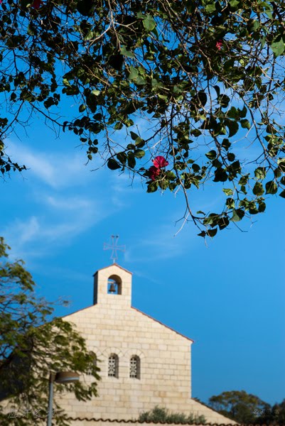 Emek HaYarden, Israel by 行摄梓地(miragehong)