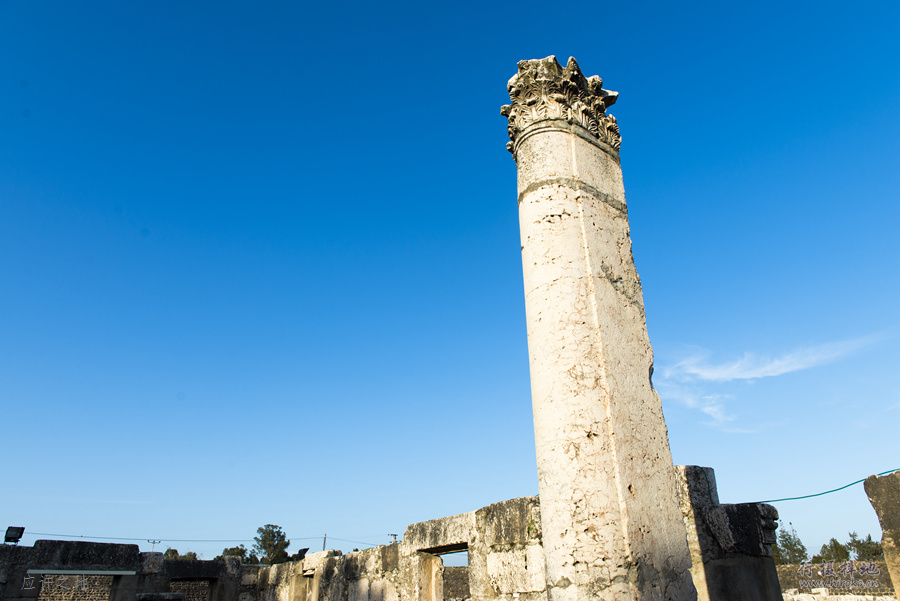 Emek HaYarden, Israel by 行摄梓地(miragehong)