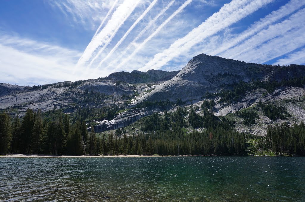 Yosemite National Park by Pius Hsu