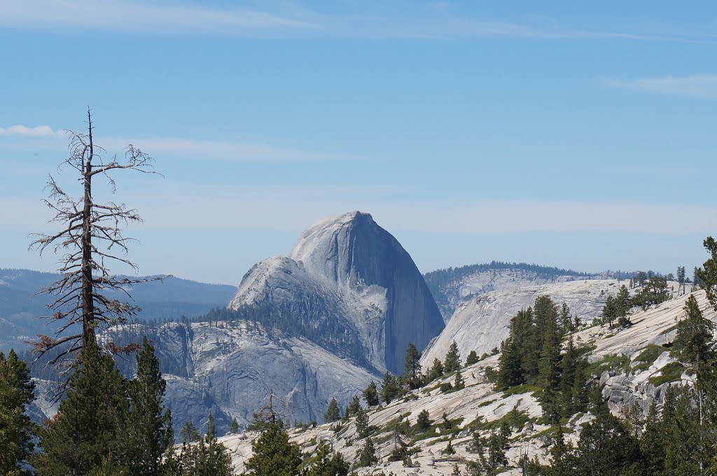 Yosemite National Park by Pius Hsu