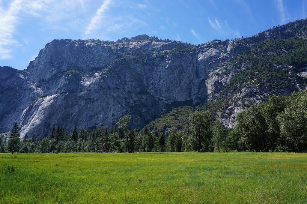 Yosemite National Park by Pius Hsu