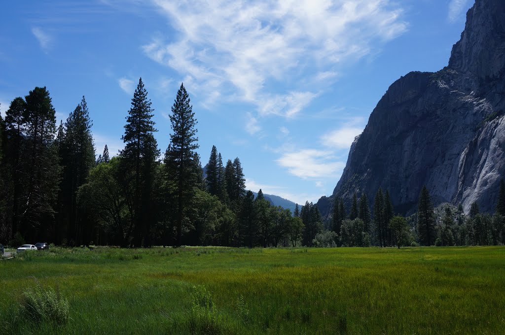 Yosemite National Park by Pius Hsu