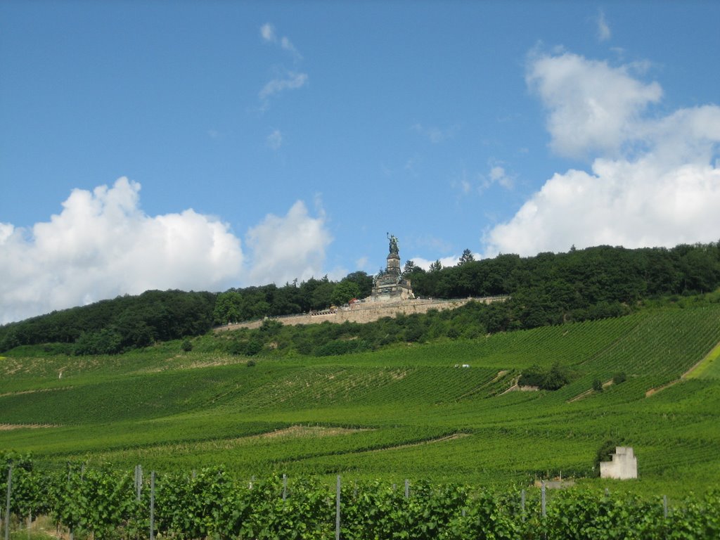 View onto Niederwald Memorial seen from the vineyards by kapibara