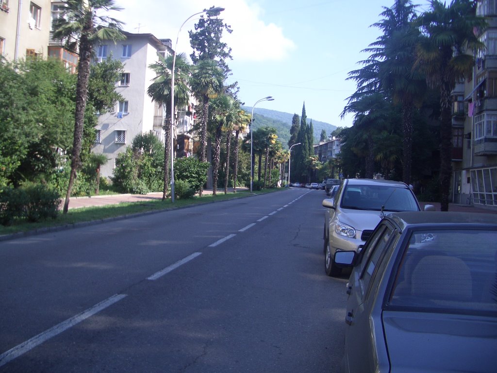 A street in Khosta by khromovat