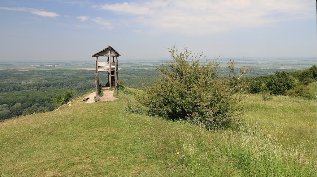 Hainburg an der Donau, Braunsberg, Keltische Wachturm ii by považan sk