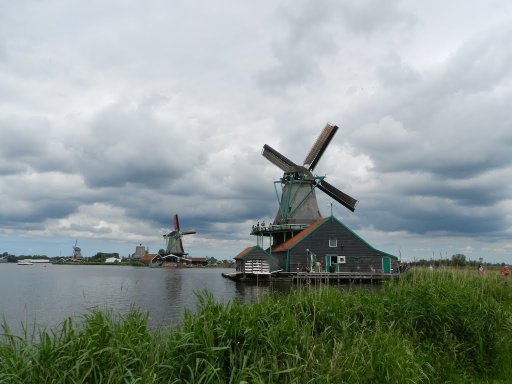 1509 Zaanse Schans, Netherlands by mario refrigerato