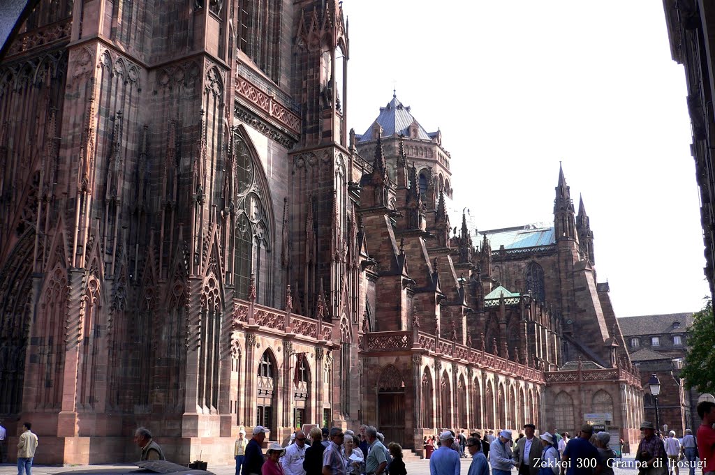 Cathédrale Notre-Dame-de-Strasbourg by 木下雅之