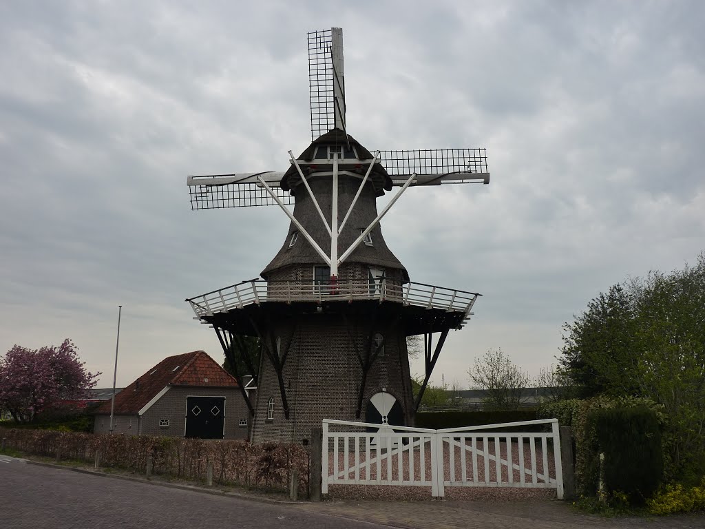 Windmühle Windlust 8391 AG Noordwolde, Niederlande by Klaus Heyna