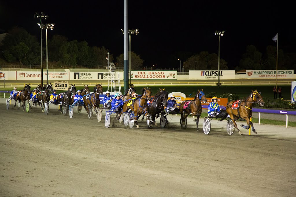 Gloucester Park by Maya Fedorchenko