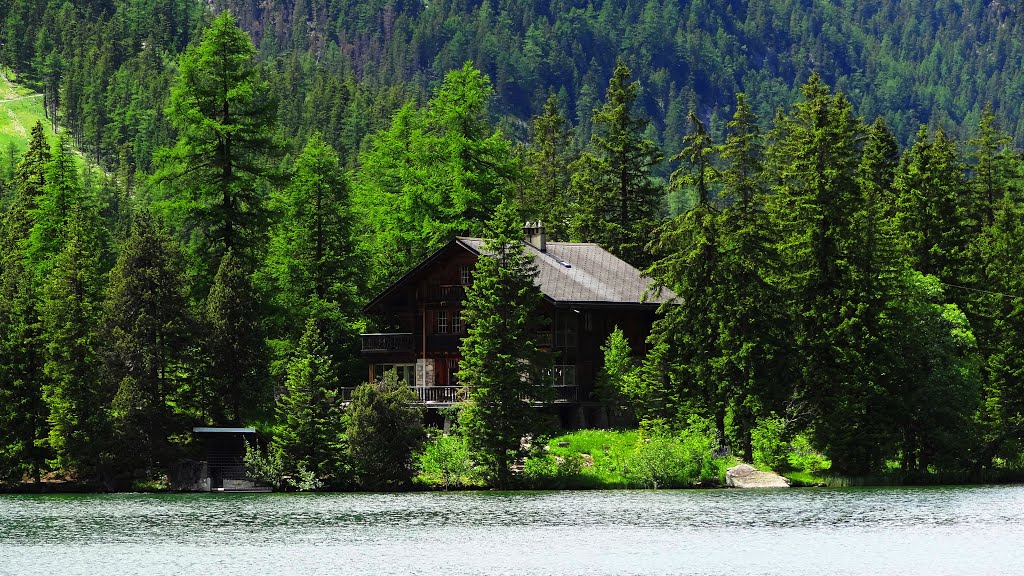 Champex Lac's sight towar a chalet on spring by Picea Abies