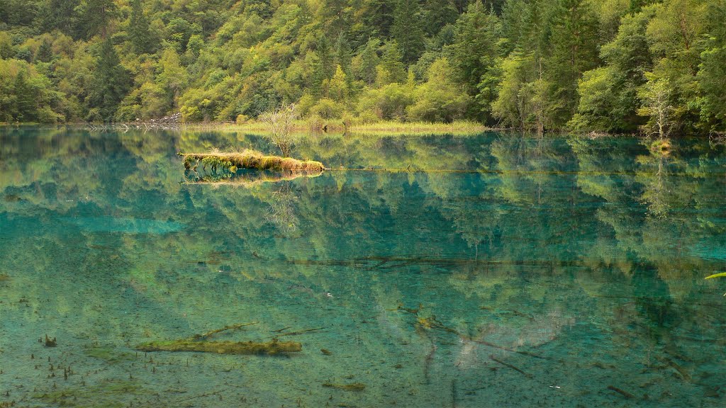 Jiuzhaigou, Aba, Sichuan, China by 林高原