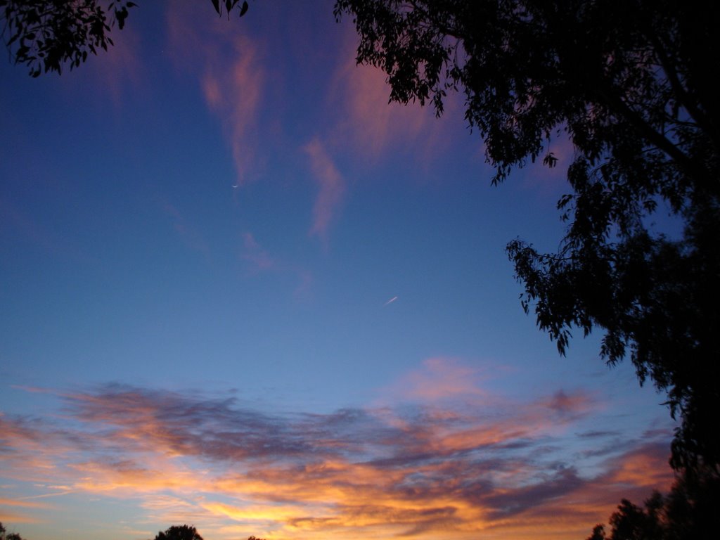 Sunrise at Clarkes Nature Reserve Camping Area. by James (Jimbob) Peat.