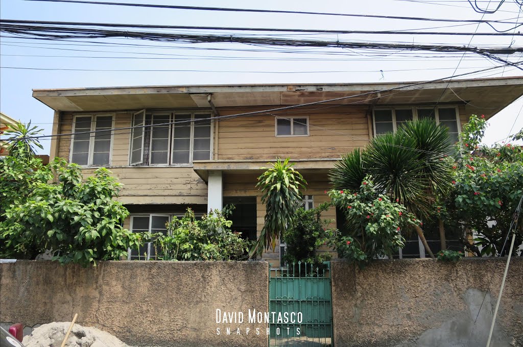 1209 Syson Street Ancestral House 2015 by David Montasco