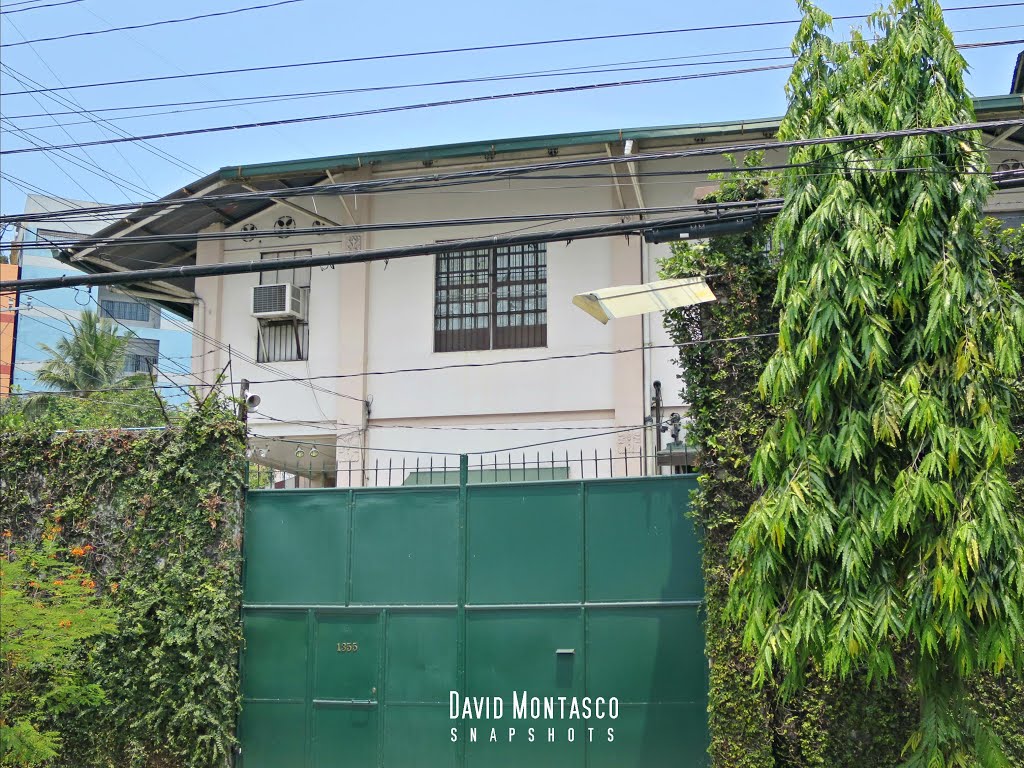 1355 Perez Street Ancestral Mansion 2015 by David Montasco