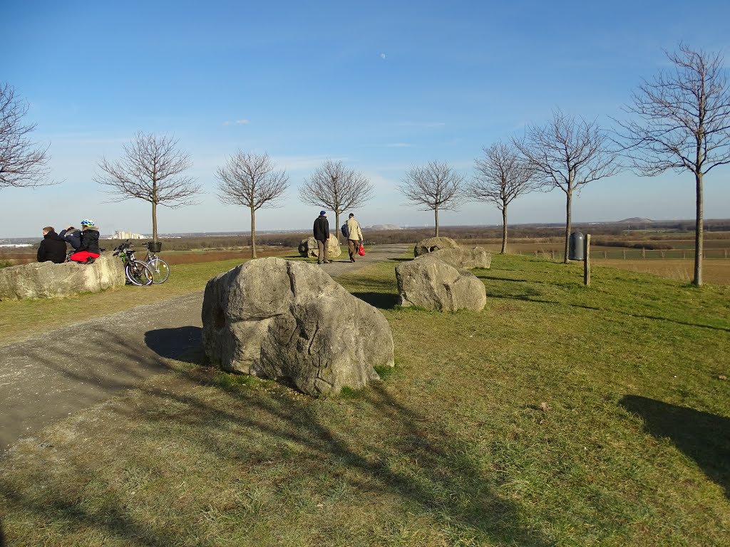 Wülferode, Hannover, Germany by Michael Witkowski