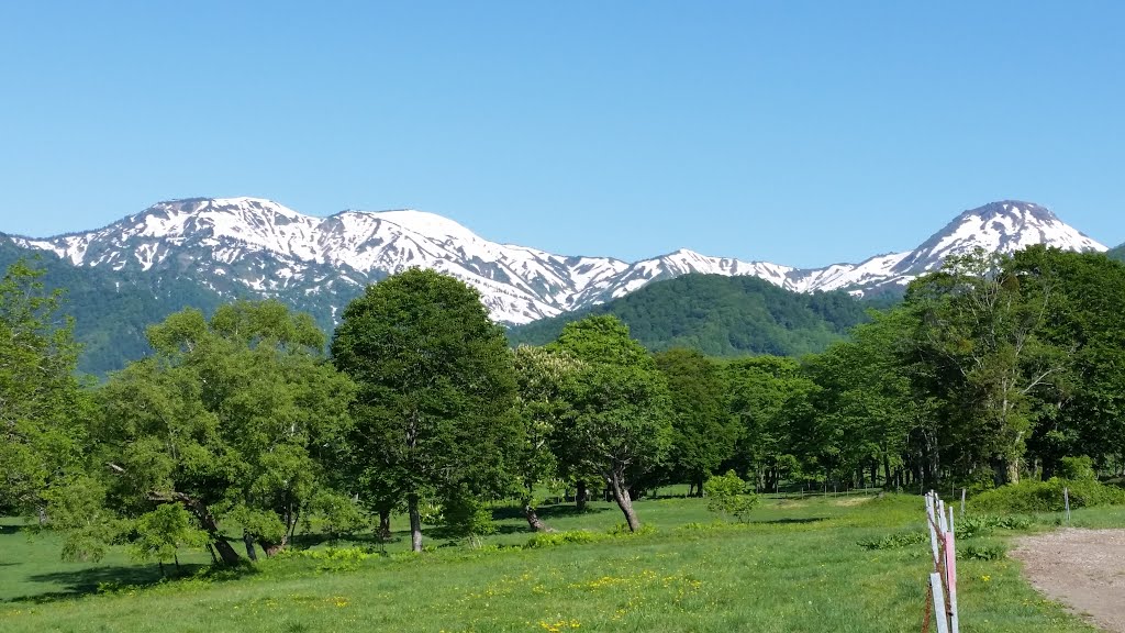 笹ヶ峰牧場から見る金山、焼山、火打山の残雪 by 62 Casa (CAMERON)