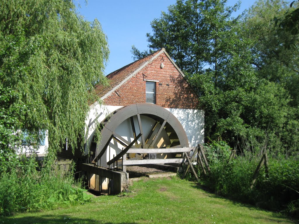 De Luysmolen by françoish