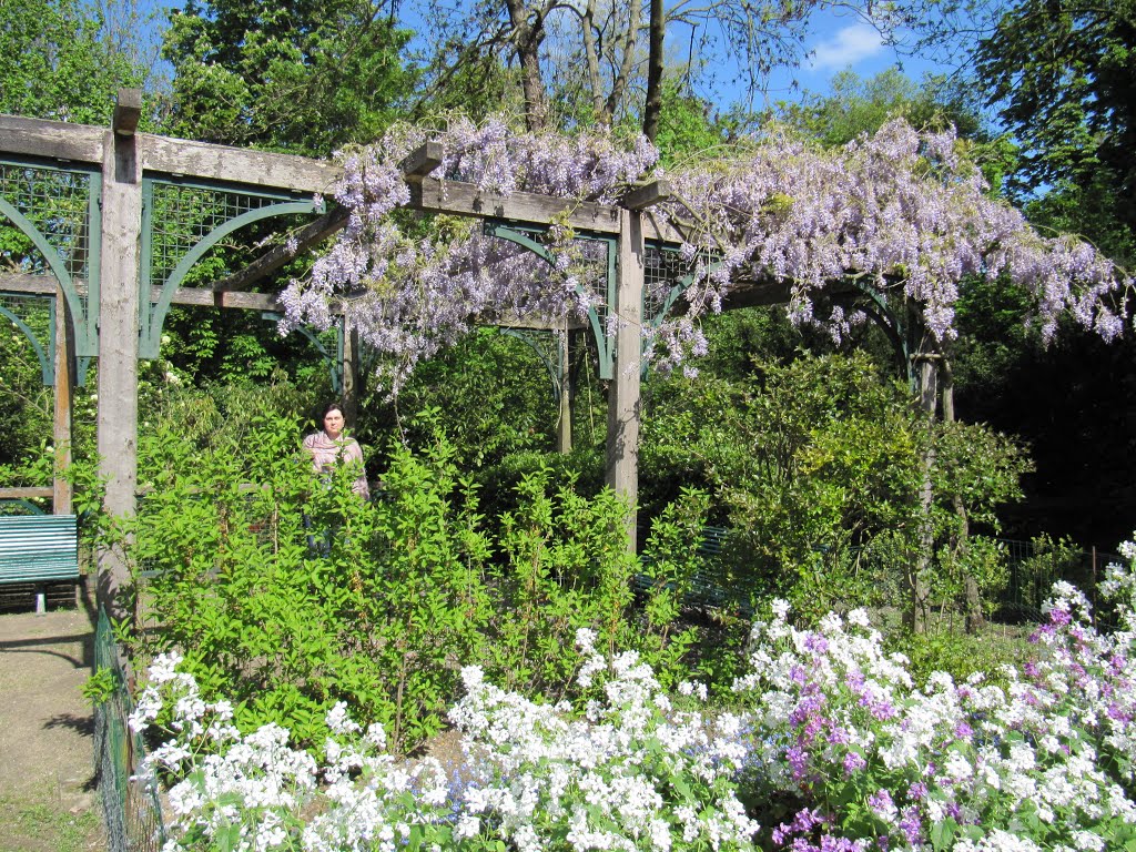 Le bois de Boulogne, Paris by Vlad Shtelts (Stelz)