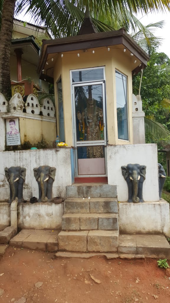 Thaliyadda Ananda Bodhi Viveka Senasuna by Senanayaka Bandara