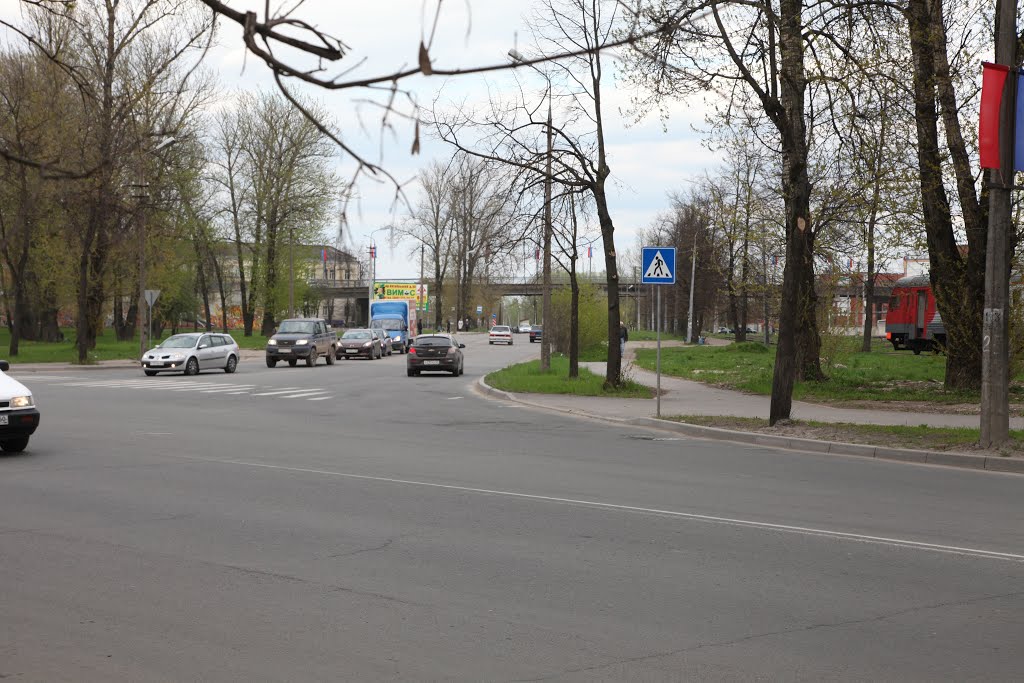 Псков. Виадук. Viaduct by Roman A. Sergeev