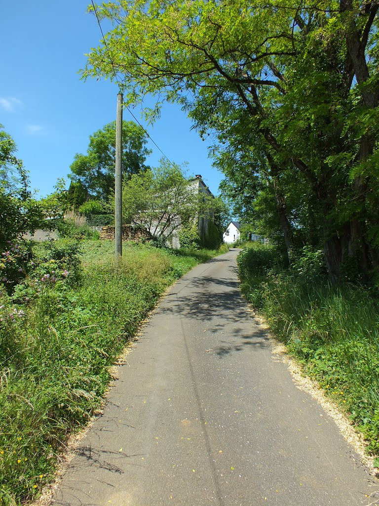 Route communale à Capdenac (La Vacalerie) by Yann LESELLIER