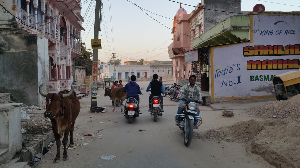 Pushkar, Rajasthan, India by Sharon Vaturi (Light…