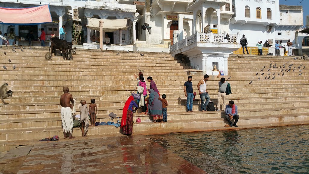 Pushkar, Rajasthan, India by Sharon Vaturi (Light…