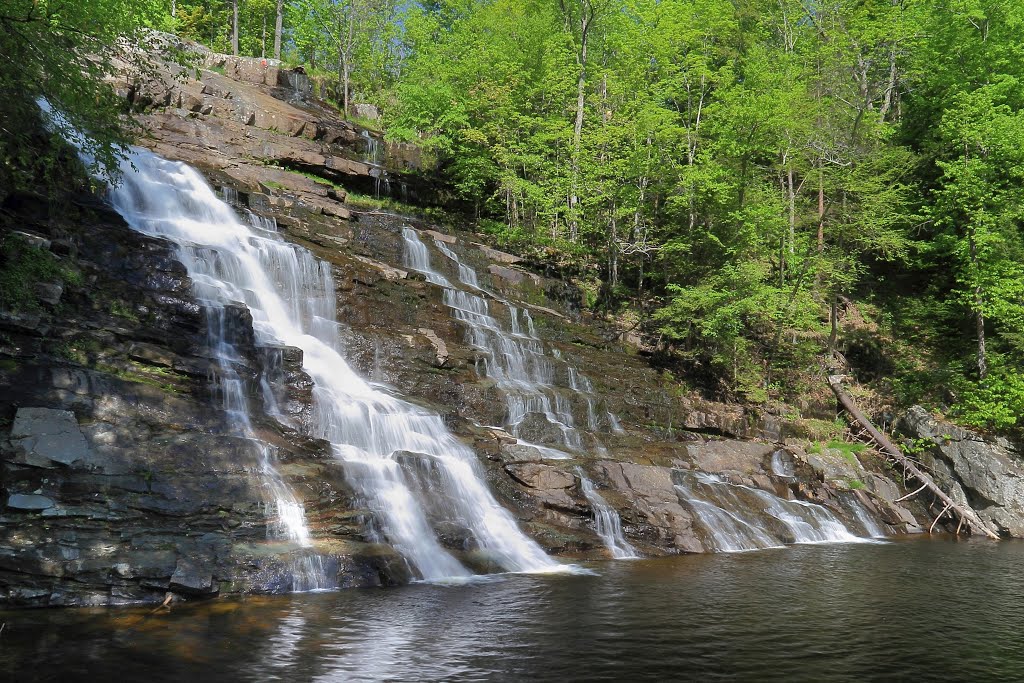 Barberville Falls by Cristian Tino