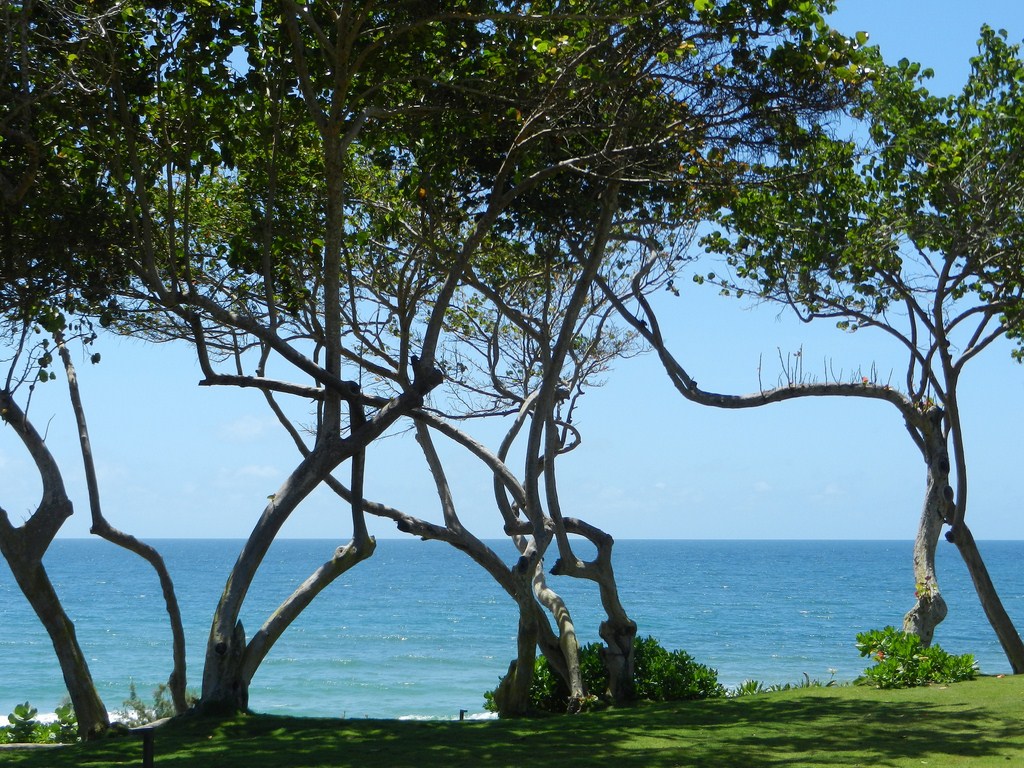 Vista desde la entrada del IKIN Hotel&Spa - 2, isla de Margarita (junio 2015) by Gisele Croce