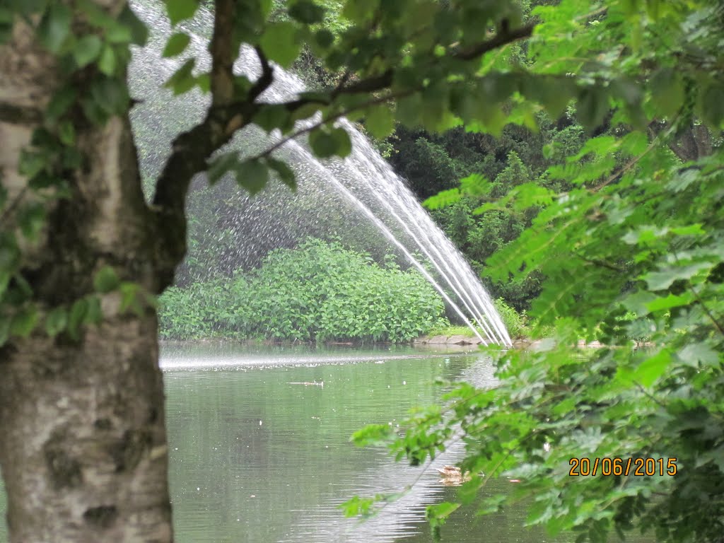 Hilden, Germany by MamatkulovSkachkova