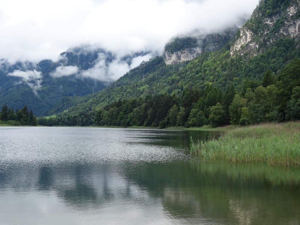 Reintalersee, Kramsach by Detlef Hähnlein