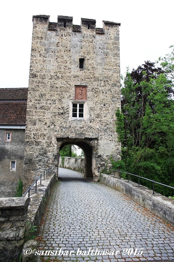 Schloss Zwingen by Sansibar Balthasar