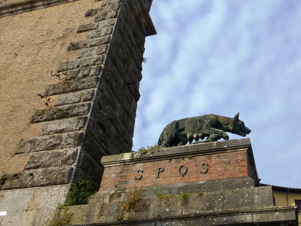 Via Giuseppe Garibaldi, Siena, Italia by Antonio Belchior