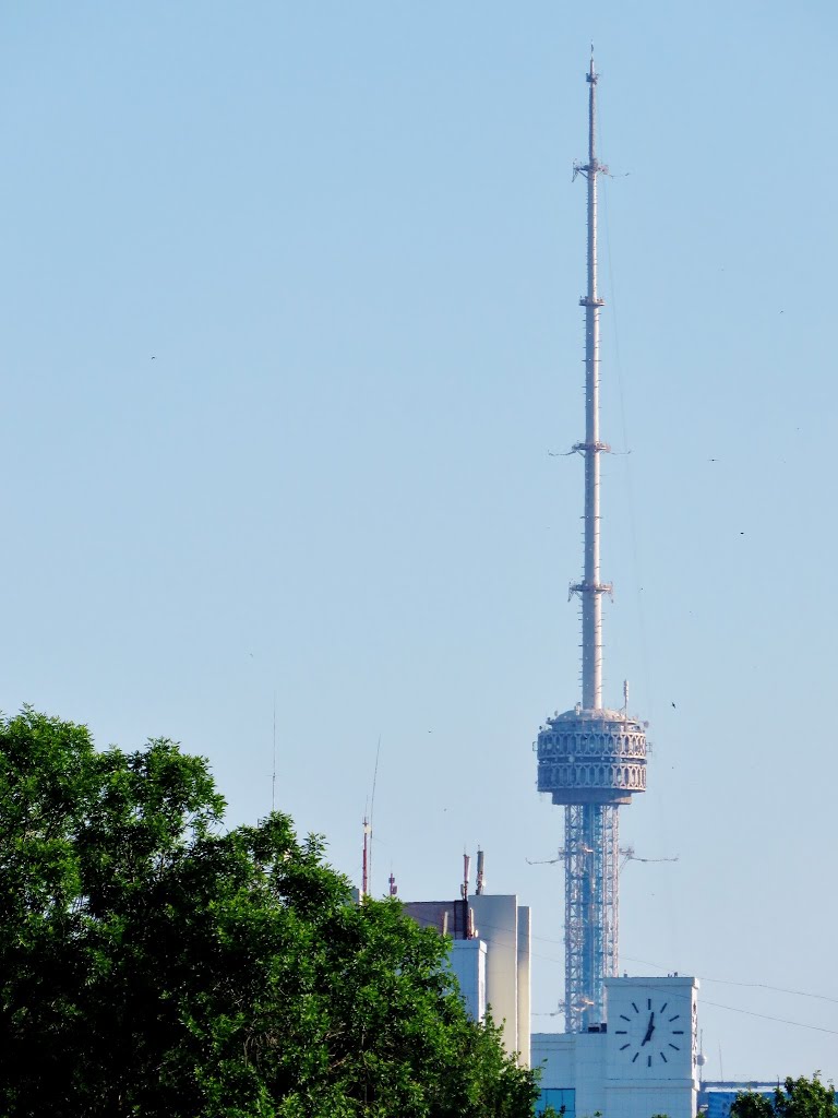 Tashkent TV Tower by Peter F C Mok