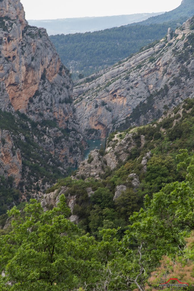 04120 La Palud-sur-Verdon, France by vanderweyen.didier