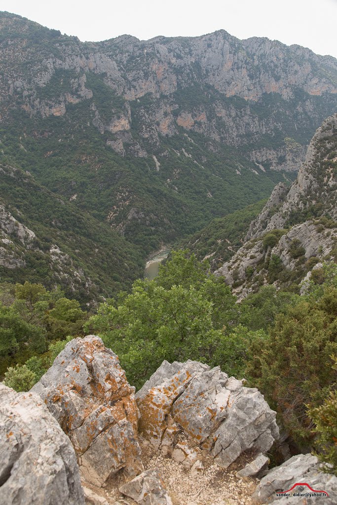 04120 La Palud-sur-Verdon, France by vanderweyen.didier