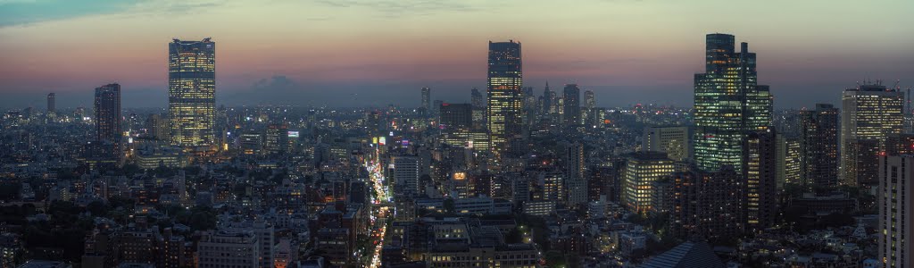 View west from Tokyo Tower (767) by www.tokyoform.com