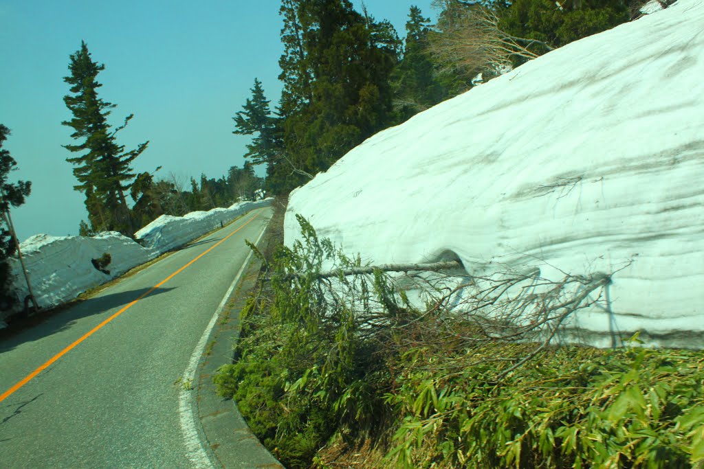 Ashikuraji, Tateyama, Nakaniikawa District, Toyama Prefecture 930-1406, Japan by quanphe ngoduc