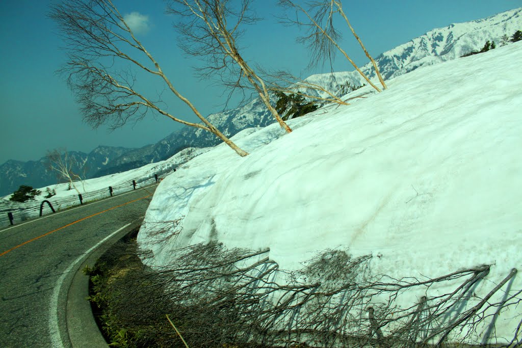 Ashikuraji, Tateyama, Nakaniikawa District, Toyama Prefecture 930-1406, Japan by quanphe ngoduc