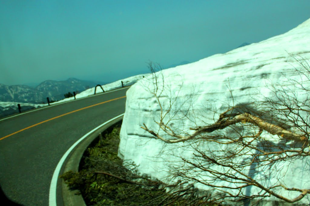 Ashikuraji, Tateyama, Nakaniikawa District, Toyama Prefecture 930-1406, Japan by quanphe ngoduc