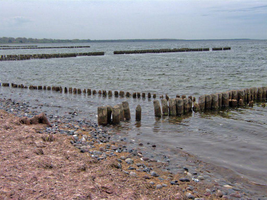 18556 Wiek, Germany by Manfred Stockmann