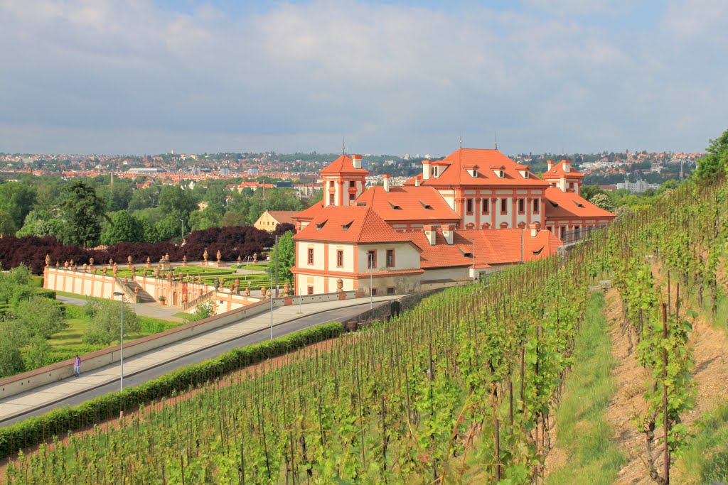 Trojský zámek a vinice sv.Kláry by Petr Obešlo