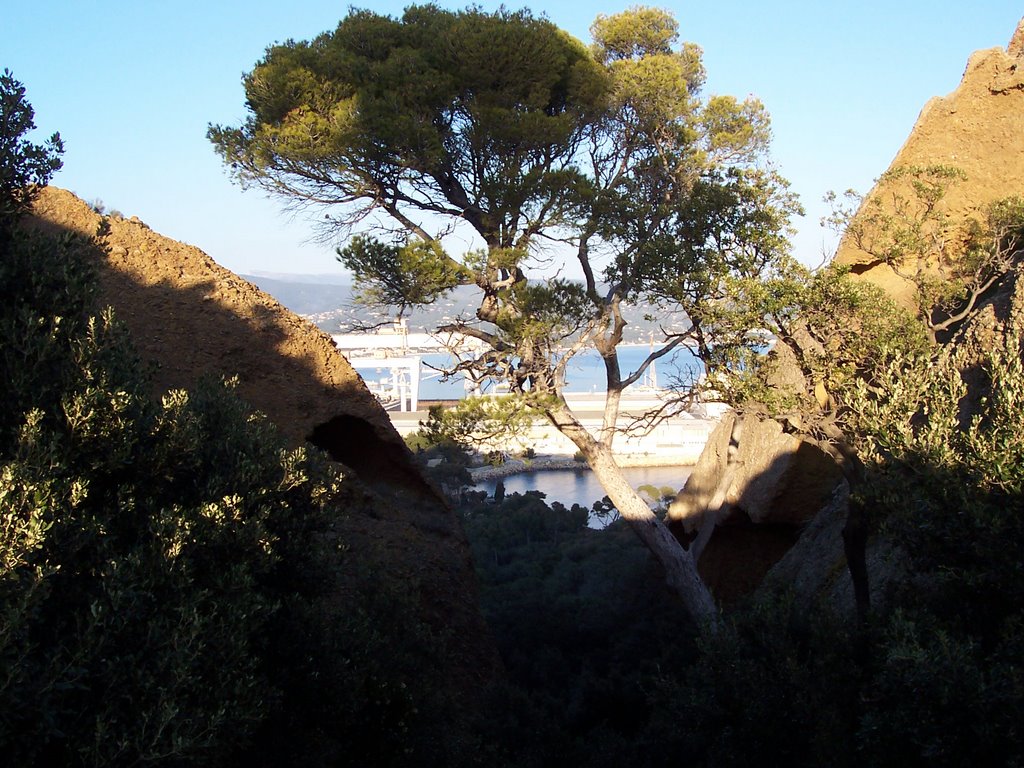 La Ciotat_Parc du Mugel, décembre 2007 by neilujm