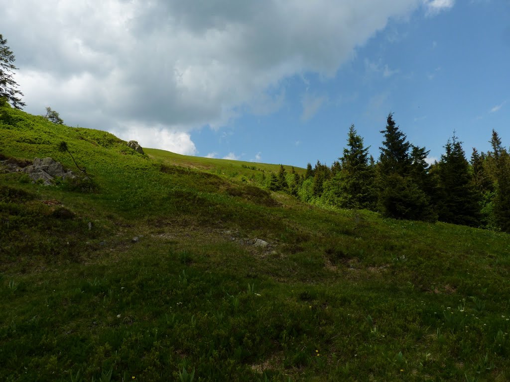 Helling van de Feldberg. by Pieter Klein